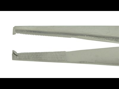 Lanes toothed dissecting forceps