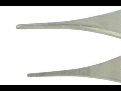 Adson dissecting forceps-fine